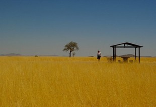 459 Namibia Okt 2006 .JPG